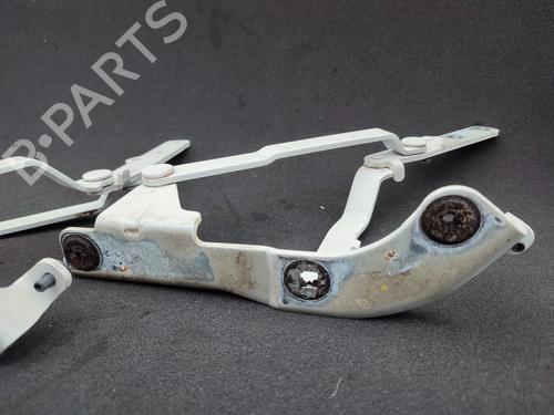 Hinge/Door check strap FIAT 500 (312_) 1.3 D Multijet (312AXE1A) | BP23757023C146