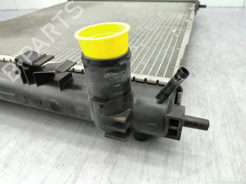 Used Water radiator Water radiator NISSAN JUKE (F15) 1.5 dCi (110 hp) 23754416 23754416