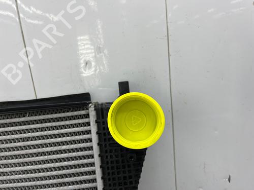 Used Intercooler Intercooler SEAT ALTEA (5P1) 1.6 TDI (105 hp) 33984266 33984266