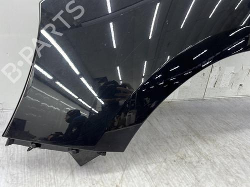 Left front fenders RENAULT SCÉNIC III (JZ0/1_) 1.6 dCi (JZ00, JZ12) | BP32373388C41