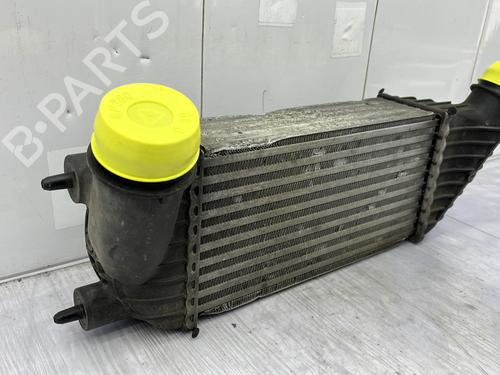 Intercooler CITROËN C8 (EA_, EB_) 2.0 HDi 135 | BP23760393M30 - Image 7