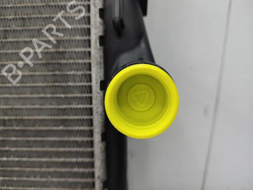 Water radiator BMW X3 (E83) 2.0 d | BP23739386M31 - Image 2
