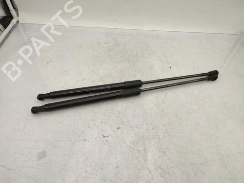 tailgate-lift-support-citroen-c3-iii-sx-2016-24526270 main image