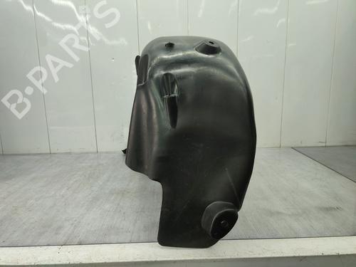 Wheel arch RENAULT CLIO III (BR0/1, CR0/1) 1.5 dCi (C/BR0G, C/BR1G) | BP25269654C56