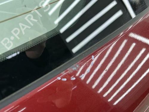 Tailgate NISSAN JUKE (F15) 1.5 dCi | BP23753906C6 