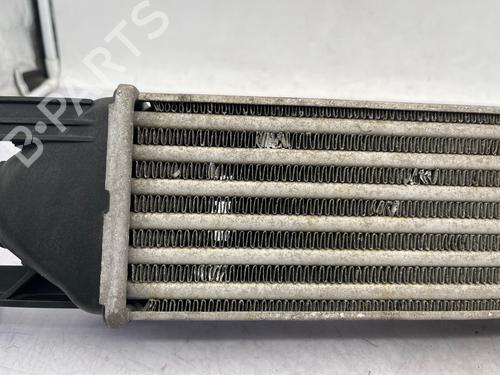 Intercooler FIAT PUNTO (199_) | BP35890483M30 - Image 11