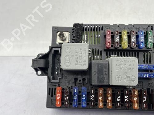 Electronic module MERCEDES-BENZ E-CLASS (W211) E 220 CDI (211.006) | BP29990300M83 
