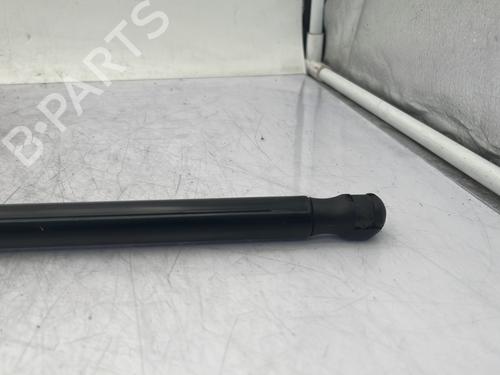 Hood lift support DACIA DUSTER (HS_) 1.5 dCi | BP31016894C139