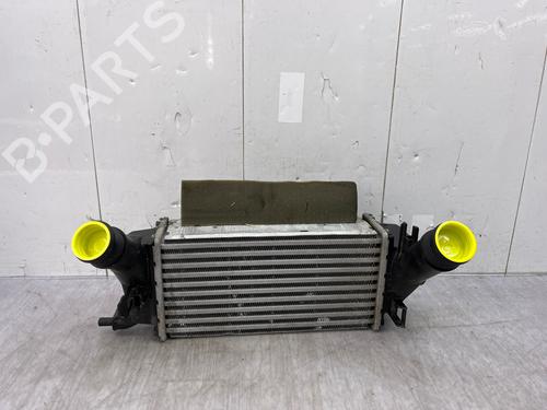 Intercooler FORD FIESTA VII (HJ, HF) 1.0 EcoBoost | BP34107606M30  - Image 7