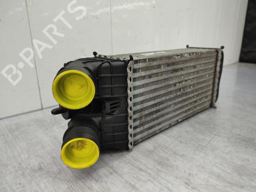 Used Intercooler Intercooler PEUGEOT 207 (WA_, WC_) 1.6 HDi (92 hp) 23730898 23730898