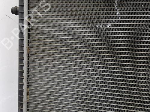Used Water radiator Water radiator RENAULT RAPID Box Body/MPV (F40_, G40_) 1.0 (37 hp) 23706510 23706510