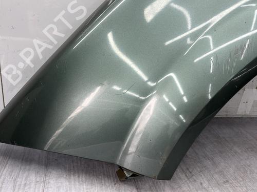 Left front fenders RENAULT MEGANE II (BM0/1_, CM0/1_) 1.6 16V (BM0C, CM0C) | BP25006484C41 