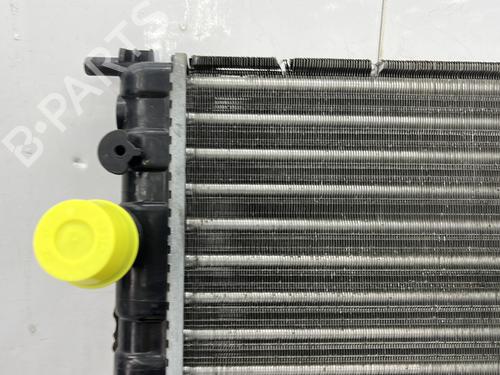 Used Water radiator Water radiator RENAULT CLIO II (BB_, CB_) 1.2 (BB0A, BB0F, BB10, BB1K, BB28, BB2D, BB2H, CB0A,... (58 hp) 33720219 33720219
