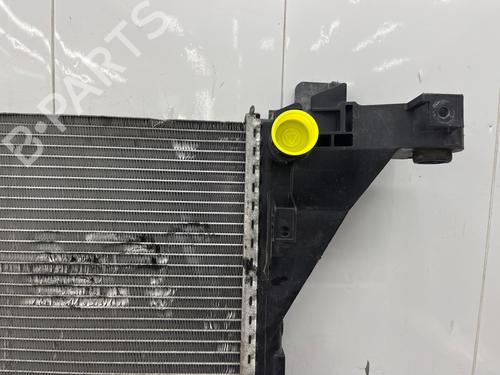 Water radiator RENAULT MASTER III Van (FV) 2.3 dCi 125 FWD (FV0C, FV0D, FV0G, FV0H, FV0J, FV0K,... | BP36248671M31  - Image 8