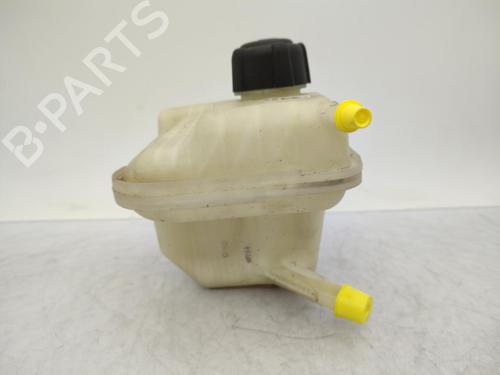 Expansion tank NISSAN QASHQAI I (J10, NJ10) 1.5 dCi | BP23710894C120