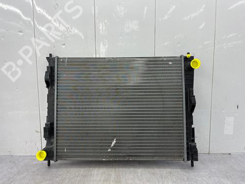 Water radiator RENAULT TWINGO II (CN0_) | BP34043850M31 - Image 3