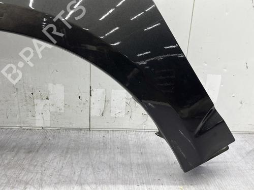 Left front fenders FORD C-MAX II (DXA/CB7, DXA/CEU) 1.0 EcoBoost | BP29865951C41
