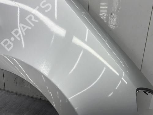 Right front fenders RENAULT CLIO III (BR0/1, CR0/1) 1.2 16V | BP23663047C42 