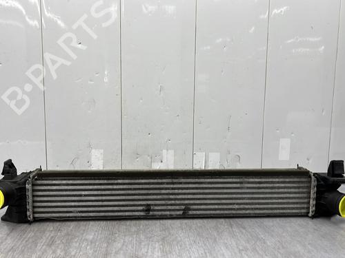Intercooler FIAT DUCATO Van (250_) 150 Multijet 2,3 D (150 hp) 27220855