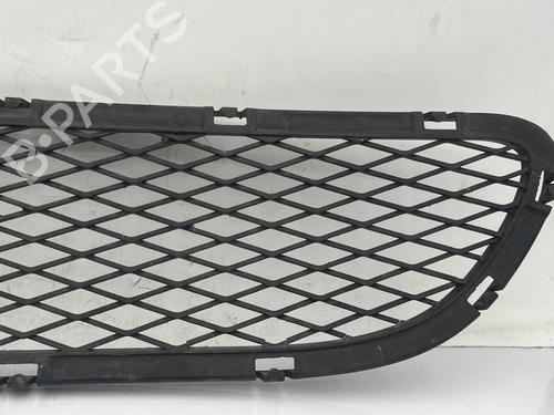 Grille BMW 3 (E90) 320 d | BP31025881C40