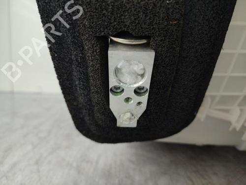 Heater matrix box NISSAN X-TRAIL III (T32_, T32R, T32RR) 1.6 dCi (T32) | BP23721898M61