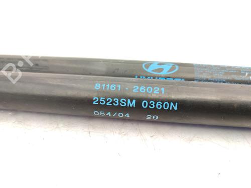 Hood lift support HYUNDAI SANTA FÉ I (SM) 2.0 CRDi 4x4 | BP23730495C139 