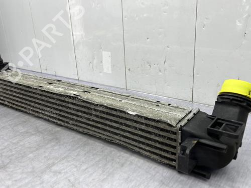 Used Intercooler Intercooler RENAULT SCÉNIC III (JZ0/1_) 1.5 dCi (106 hp) 23754269 23754269