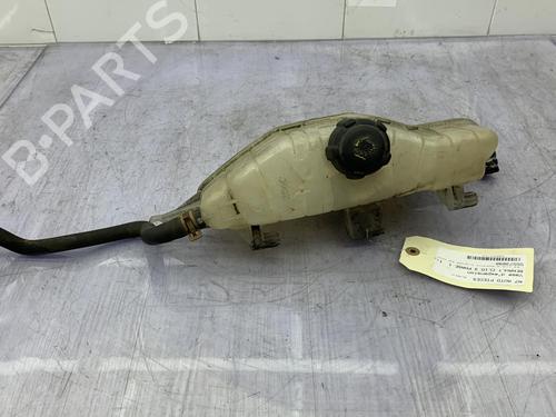 Used Expansion tank RENAULT CLIO III (BR0/1, CR0/1) 1.2 16V (BR02, BR0J, BR11, CR02, CR0J, CR11) (75 hp) 23702197