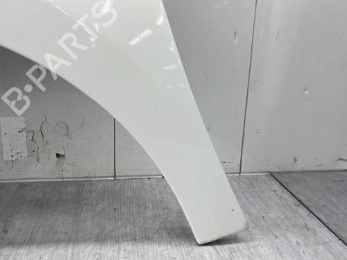 Left front fenders CITROËN BERLINGO Box Body/MPV (B9) 1.6 HDi / BlueHDi 75 | BP32391306C41