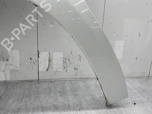 Left front fenders CITROËN DS4 (NX_) 2.0 HDi / BlueHDi 135 | BP29634692C41 