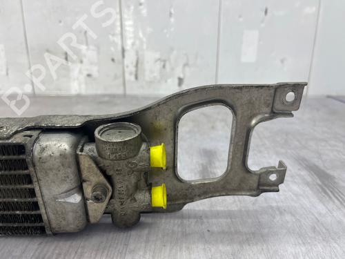 Used Oil radiator Oil radiator MERCEDES-BENZ A-CLASS (W169) A 180 CDI (169.007, 169.307) (109 hp) 36646503 36646503