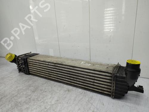 Intercooler RENAULT LATITUDE (L70_) 2.0 dCi 150 (L70H) | BP23712679M30  - Image 8