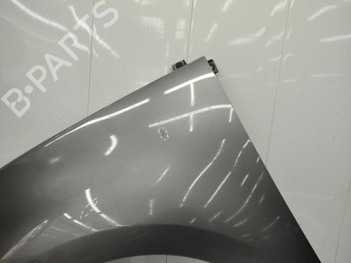 Left front fenders RENAULT SCÉNIC III (JZ0/1_) 1.9 dCi (JZ0J, JZ1J, JZ1K, JZ1S) | BP23706883C41 