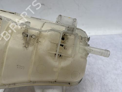 Expansion tank RENAULT KANGOO / GRAND KANGOO II (KW0/1_) 1.5 dCi 90 (KW05, KW08, KW0G, KW11) | BP29968126C120