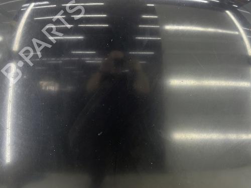 Hood VW PHAETON (3D1, 3D2, 3D3, 3D4, 3D6, 3D7, 3D8, 3D9) 3.0 V6 TDI 4motion | BP29455291C1 