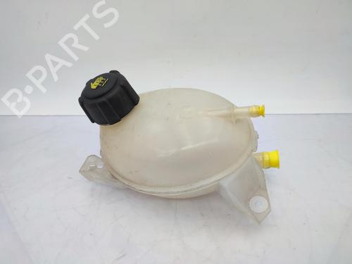 expansion-tank-dacia-duster-hs_-2010-2011-2012-2013-2014-2015-2016-2017-2018-23675233 main image
