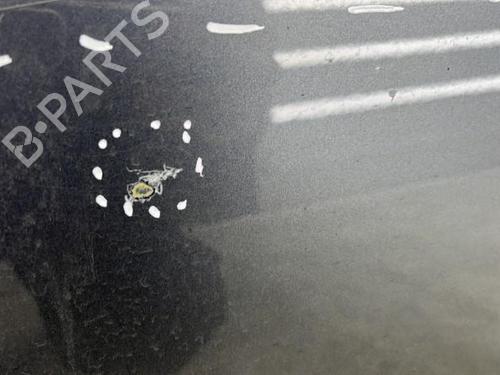 Left rear door PEUGEOT 3008 I MPV (0U_) 2.0 HDi 150 / BlueHDi 150 | BP23750543C4 