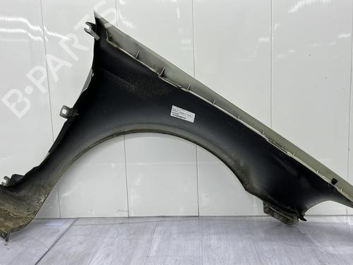 Left front fenders RENAULT LAGUNA II (BG0/1_) 1.9 dCi | BP23702775C41 
