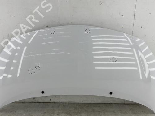 Used Hood RENAULT TWINGO II (CN0_) 1.5 dCi (CN0E) (64 hp) 23755842