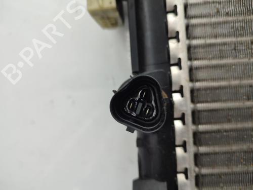 Used Water radiator Water radiator SKODA FABIA II (542) 1.6 TDI (90 hp) 23749080 23749080