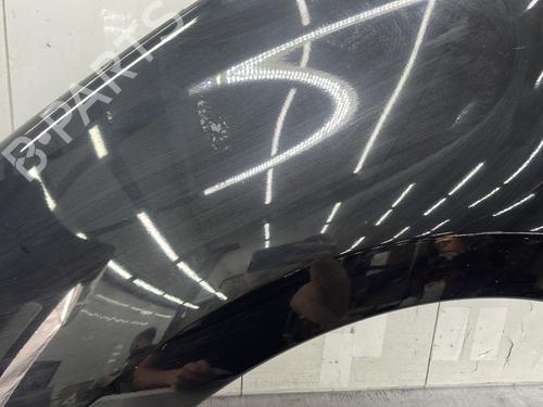 Left front fenders RENAULT SCÉNIC III (JZ0/1_) 1.9 dCi (JZ0J, JZ1J, JZ1K, JZ1S) | BP27304217C41 