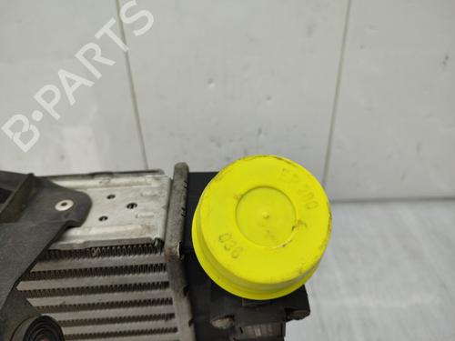 Intercooler VW POLO (9N_, 9A_) 1.4 TDI | BP23738922M30 