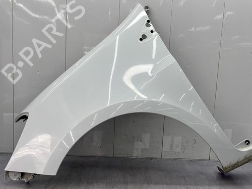 Used Left front fenders RENAULT CLIO III (BR0/1, CR0/1) 1.5 dCi (C/BR0G, C/BR1G) (68 hp) 25006487