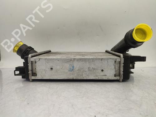 Intercooler RENAULT CLIO IV (BH_) 1.5 dCi 90 | BP28614010M30
