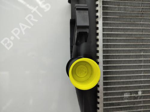 Køler NISSAN QASHQAI / QASHQAI +2 I (J10, NJ10, JJ10E) 1.5 dCi | BP23710893M31 