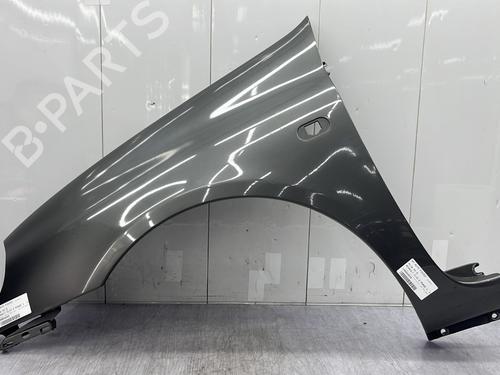Used Left front fenders RENAULT CLIO II (BB_, CB_) 1.9 D (B/CB0E, BB0J) (64 hp) 23683875