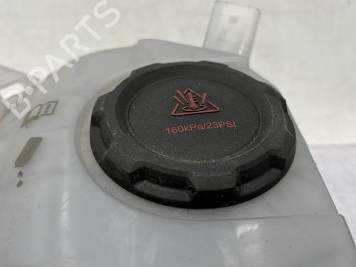 Ekpansionstank SEAT IBIZA V (KJ1, KJG) 1.0 TSI (116 hp) 31016878