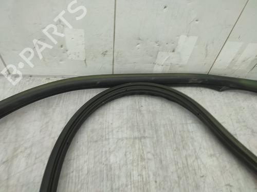 Rubber door seal CITROËN DS4 (NX_) 1.6 HDi 115 | BP25977876C142 