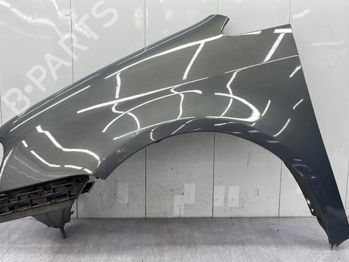 Used Left front fenders VW TOURAN (1T1, 1T2) 1.9 TDI (105 hp) 24865828
