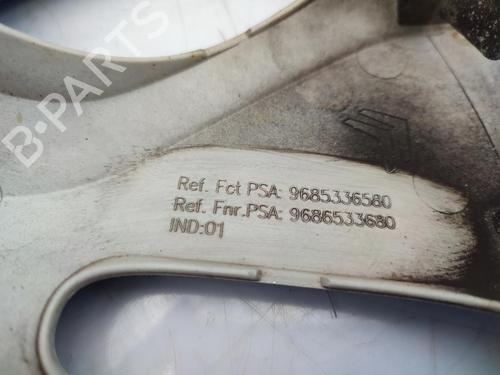Hub cap CITROËN C3 II (SC_) 1.6 HDi | BP23718778C160 
